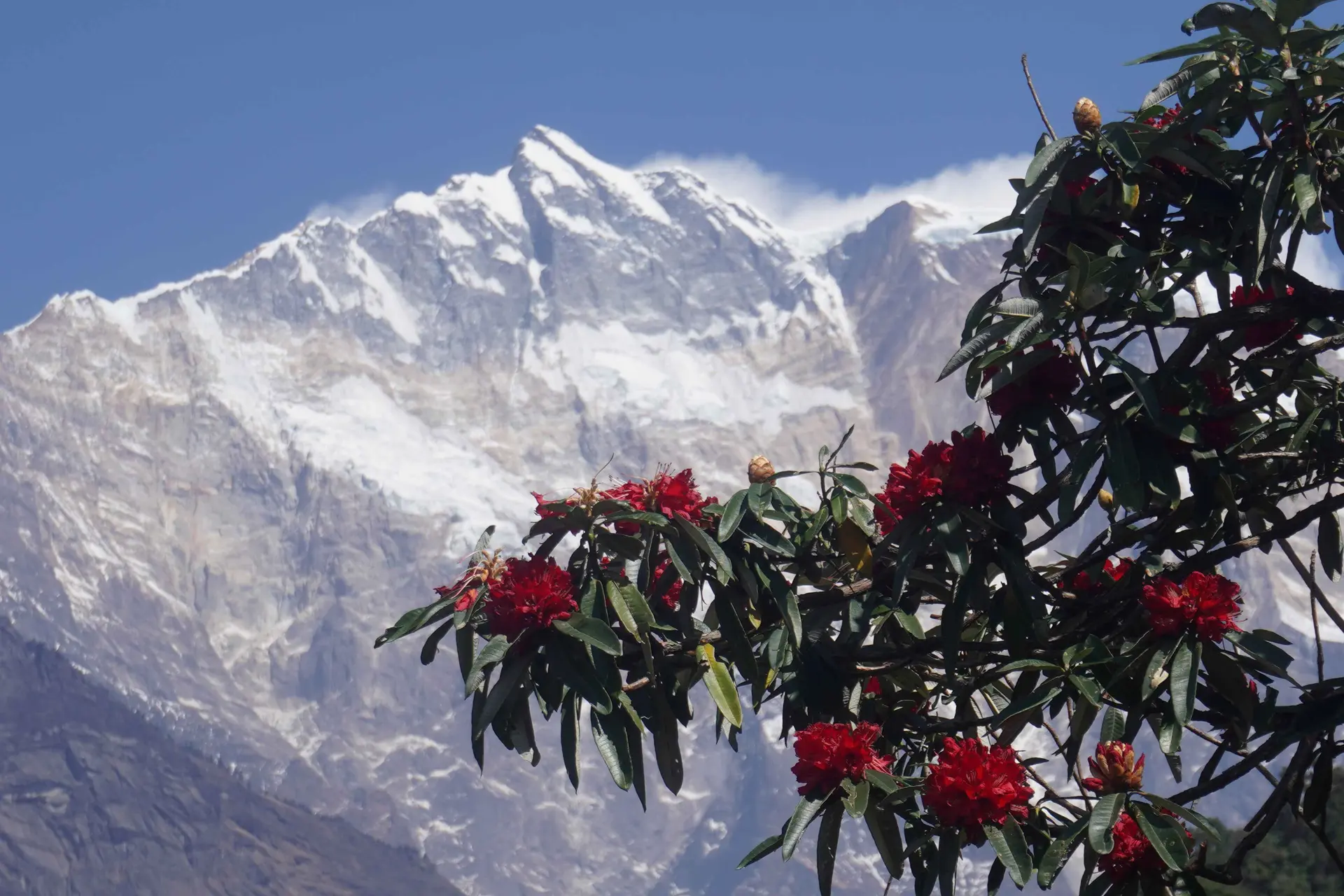 Upper Narchyang Hike