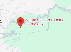 Kathmandu, Kirtipur, Bhaktapur, Panauti, Pokhara, Dhampus, Palpa, Barauli