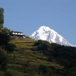 homestay around annapurna region