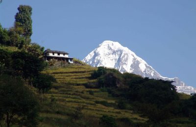 homestay around annapurna region