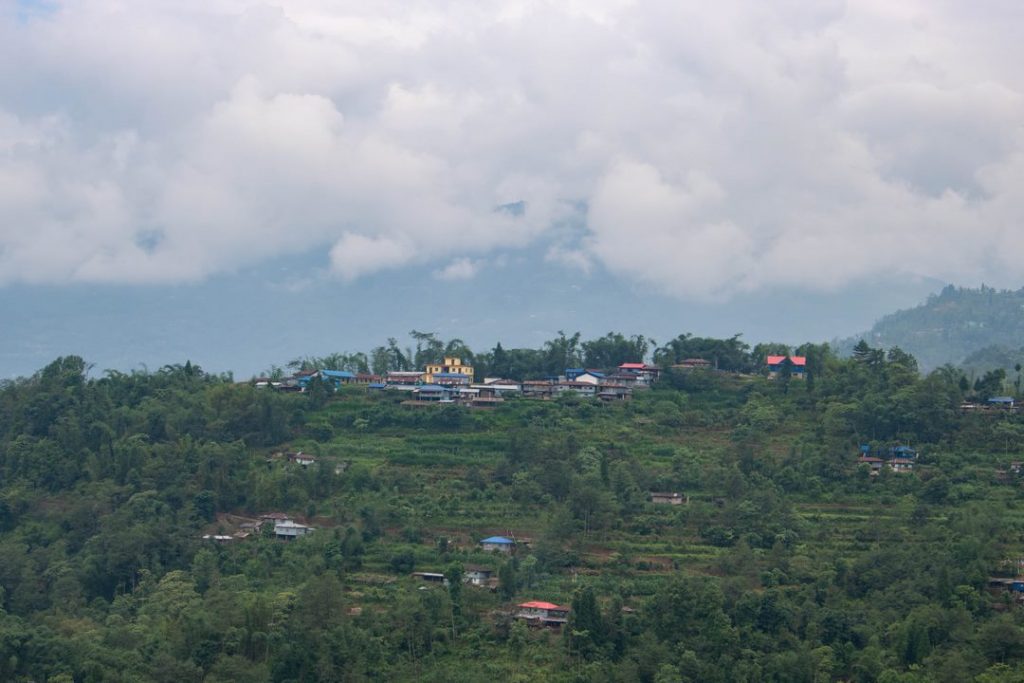 Dobato, Ilam, a base to track the Red Pandas in the eastern Nepal